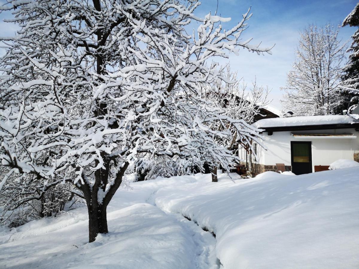 Appartchalet La Rondula Lejlighedshotel Ortisei Eksteriør billede